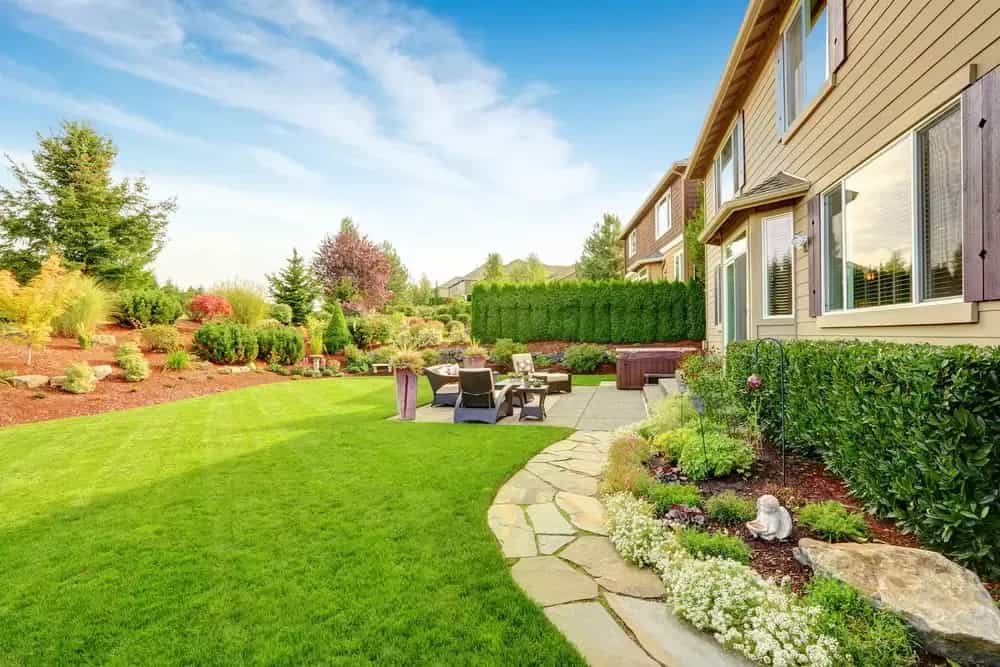 Landscaped garden with shrubs